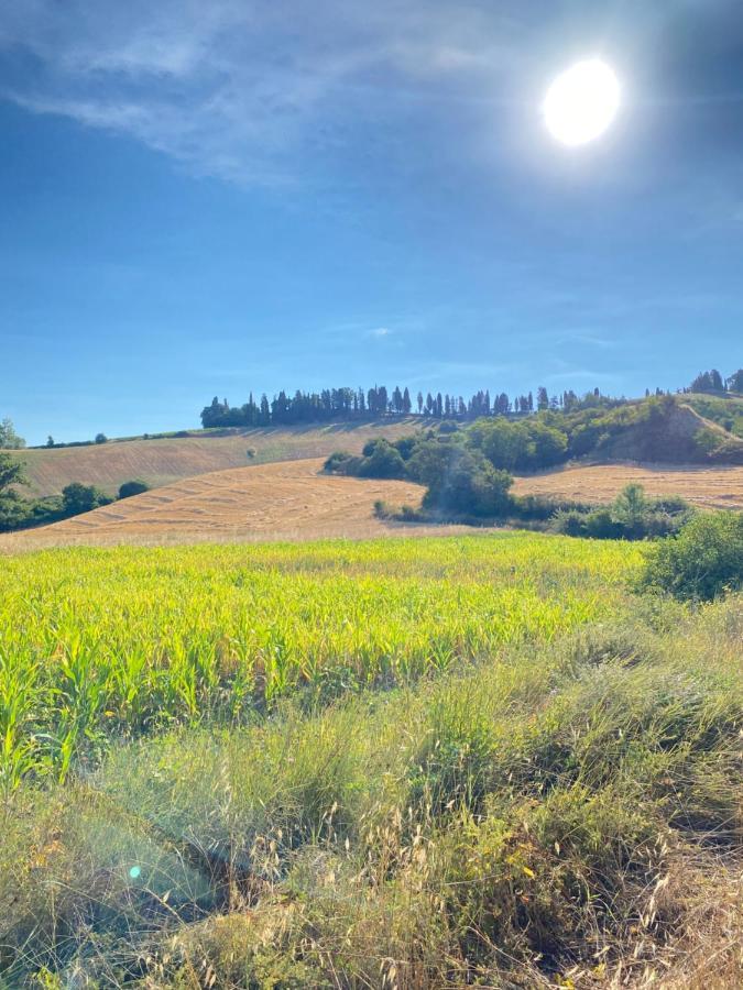 Agriturismo I Moricci Peccioli Exteriér fotografie