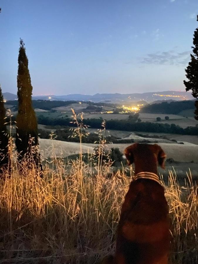 Agriturismo I Moricci Peccioli Exteriér fotografie