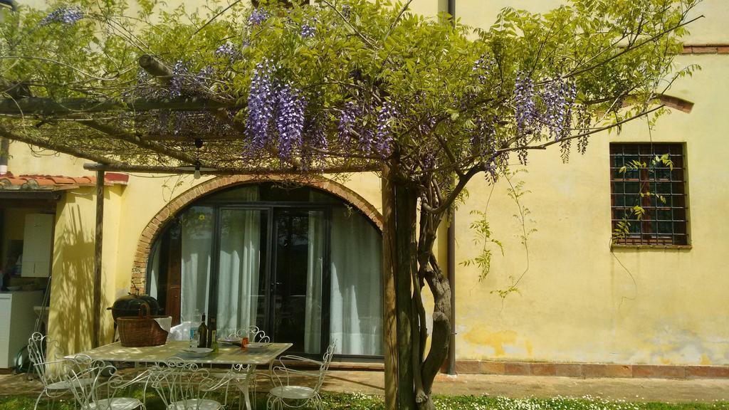 Agriturismo I Moricci Peccioli Exteriér fotografie