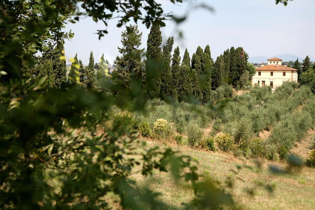 Agriturismo I Moricci Peccioli Exteriér fotografie